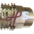 DZR brass female thread PPR insert for PPR fitting
